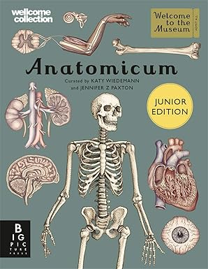 Jennifer Z Paxton: Anatomicum Junior, illustrated by Katy Wiedemann - Tales for Tadpoles