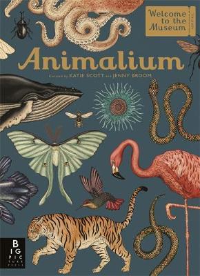 Jenny Broom: Animalium, illustrated by Katie Scott - Tales for Tadpoles