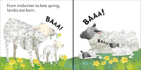 Jonathan Lambert: Jonny Lambert's Farm - Tales for Tadpoles