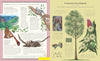 Jonathon Drori: The Stuff that Stuff Made, illustrated by Raxenne Maniquiz and Jiatong Liu - Tales for Tadpoles