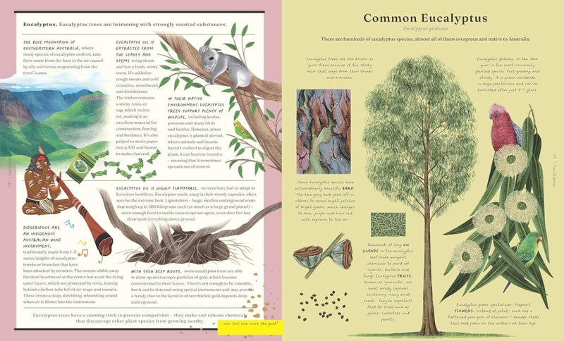 Jonathon Drori: The Stuff that Stuff Made, illustrated by Raxenne Maniquiz and Jiatong Liu - Tales for Tadpoles