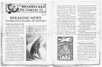 Katherine Child: The Notted Island - Tales for Tadpoles