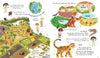 Katie Daynes: Can We Really Help the Tigers? illustrated by Roisin Hahessy - Tales for Tadpoles