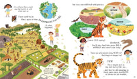 Katie Daynes: Can We Really Help the Tigers? illustrated by Roisin Hahessy - Tales for Tadpoles