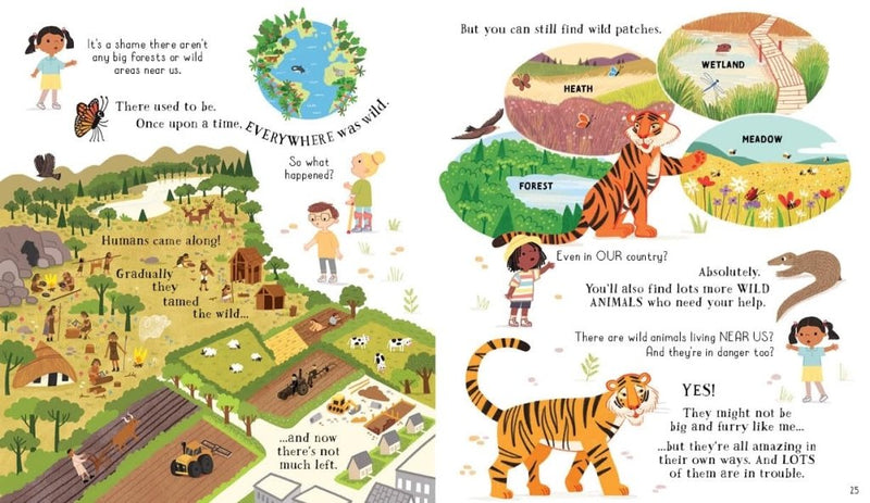 Katie Daynes: Can We Really Help the Tigers? illustrated by Roisin Hahessy - Tales for Tadpoles
