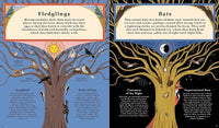 Kevin Parr: Woodlore, illustrated by Anja Susanj - Tales for Tadpoles