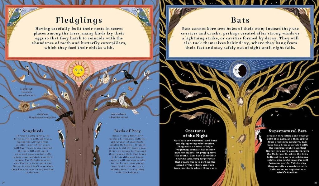 Kevin Parr: Woodlore, illustrated by Anja Susanj - Tales for Tadpoles
