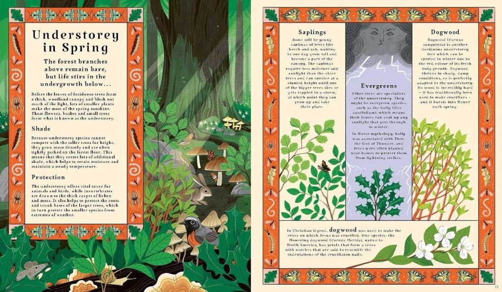 Kevin Parr: Woodlore, illustrated by Anja Susanj - Tales for Tadpoles