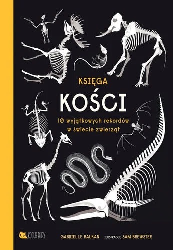 Gabrielle Balkan: Księga Kości, illustrated by Sam Brewster