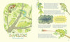 Lena Anlauf: Genius Eyes, illustrated by Vitali Konstantinov - Tales for Tadpoles
