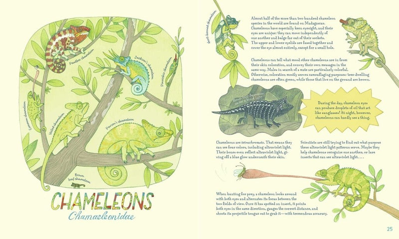 Lena Anlauf: Genius Eyes, illustrated by Vitali Konstantinov - Tales for Tadpoles