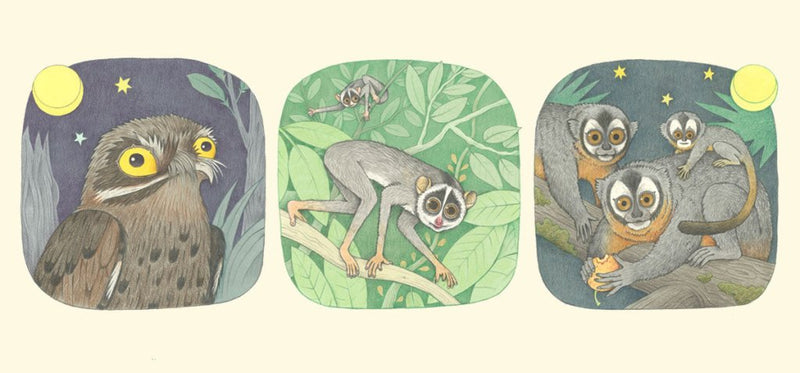 Lena Anlauf: Genius Eyes, illustrated by Vitali Konstantinov - Tales for Tadpoles