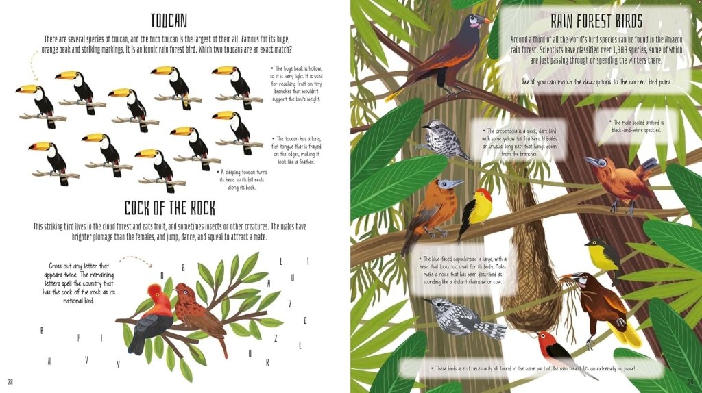 Lisa Regan: Birds of the World Activity Book: Take to the Skies with Puzzles, Mazes, and More! (Activity Atlas) - Tales for Tadpoles