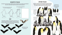 Lisa Regan: Birds of the World Activity Book: Take to the Skies with Puzzles, Mazes, and More! (Activity Atlas) - Tales for Tadpoles
