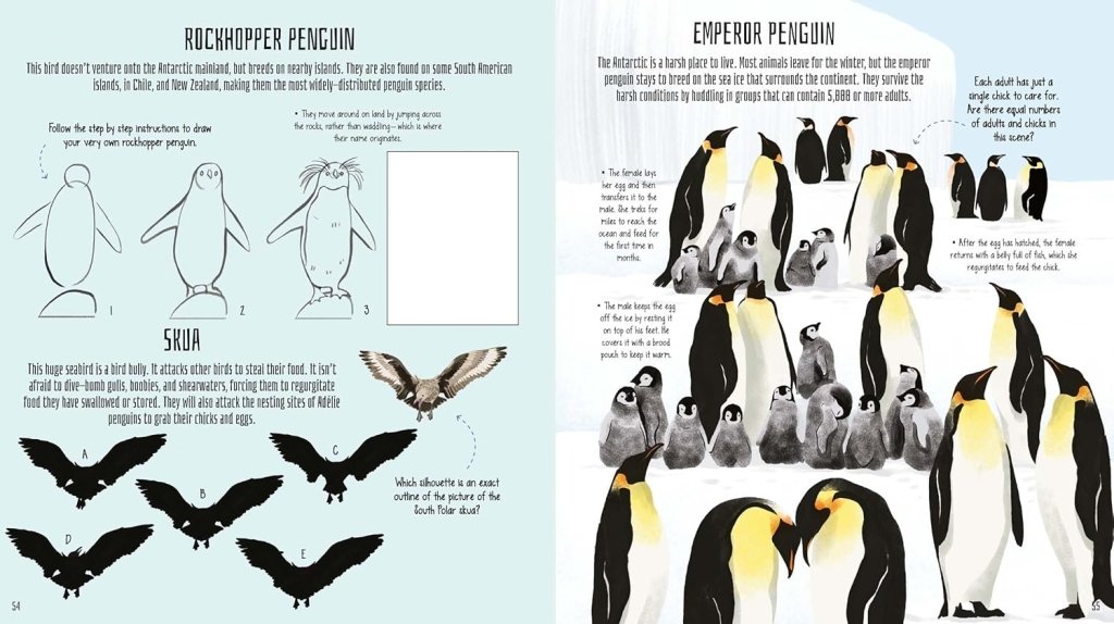 Lisa Regan: Birds of the World Activity Book: Take to the Skies with Puzzles, Mazes, and More! (Activity Atlas) - Tales for Tadpoles
