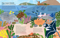 Lizzie Lomax: Rewild This Book! - Tales for Tadpoles