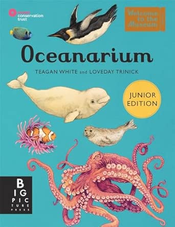 Loveday Trinick: Oceanarium Junior, illustrated by Teagan White - Tales for Tadpoles