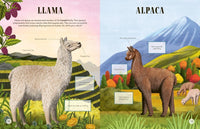 Lucy Thorn: Tell Us Apart - A Who's Who of Confusing Animals, illustrated by Lucy Rose - Tales for Tadpoles