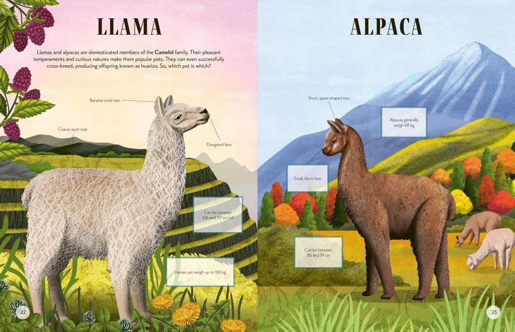Lucy Thorn: Tell Us Apart - A Who's Who of Confusing Animals, illustrated by Lucy Rose - Tales for Tadpoles