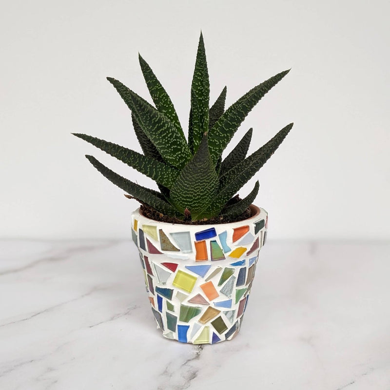 Luxe Decor Craft Kit: Mosaic Planter - Tales for Tadpoles