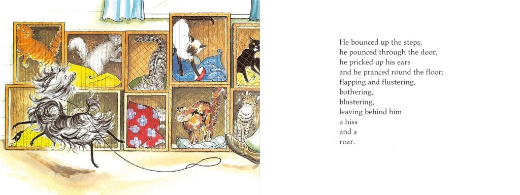 Lynley Dodd: Hairy Maclarly's Showbusiness (Second Hand) - Tales for Tadpoles