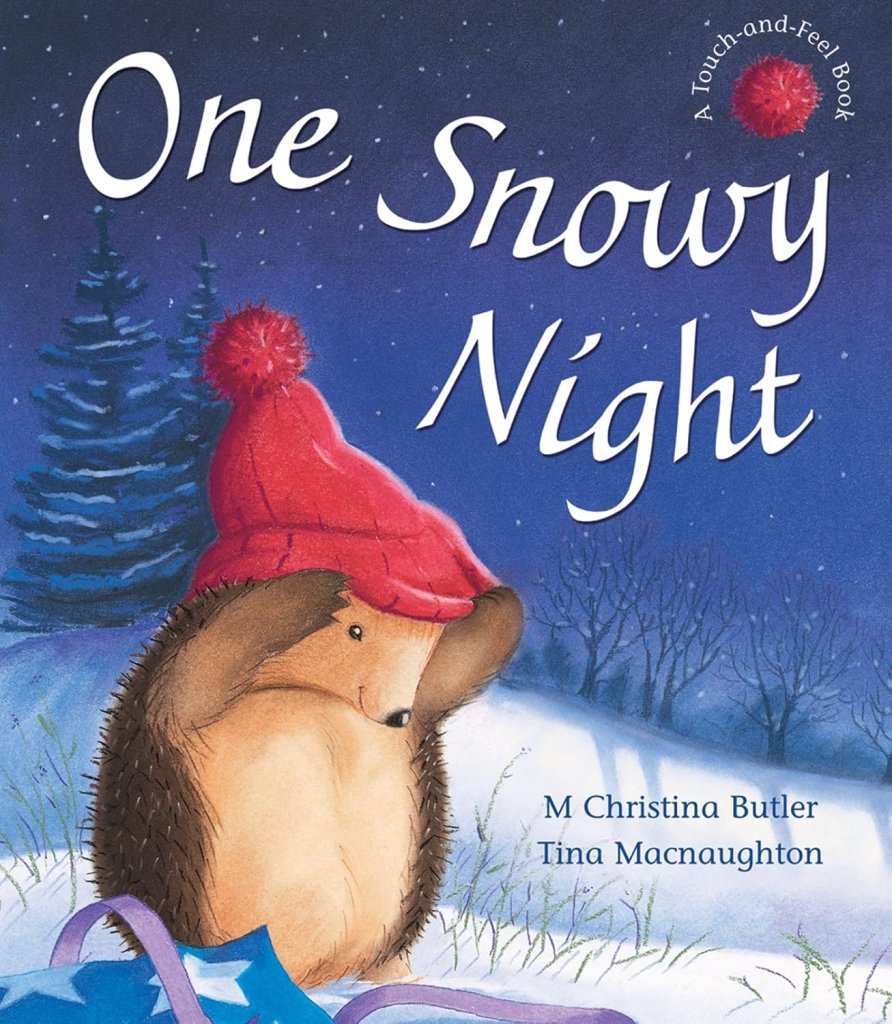 M Christina Butler: One Snow Night, Illustrated by Tina Macnaughton (Second - Hand) - Tales for Tadpoles