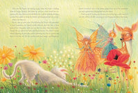 Máire Zepf: The Cloud Kingdom, illustrated by Andrew Whitson - Tales for Tadpoles