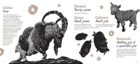 Manchan Magan: Tree Dogs, Banshee Fingers and Other Irish Words for Nature, illustrated by Steve Doogan - Tales for Tadpoles