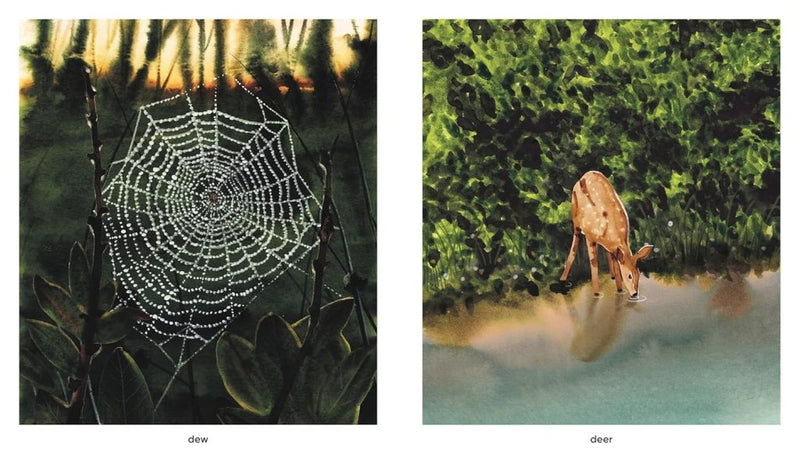 Marc Martin: Dawn - Tales for Tadpoles