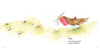 Margaret Anne Suggs: Robin and Pip - Tales for Tadpoles