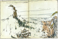 Margery Williams: The Velveteen Rabbit, illustrated by William Nicholson - Tales for Tadpoles