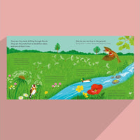 Mary Auld: Fluffy, Flying Seed, illustrated by Dawn Cooper - Tales for Tadpoles