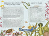 Match the Mermaids: A Memory Game, illustrated by Jessica Roux - Tales for Tadpoles