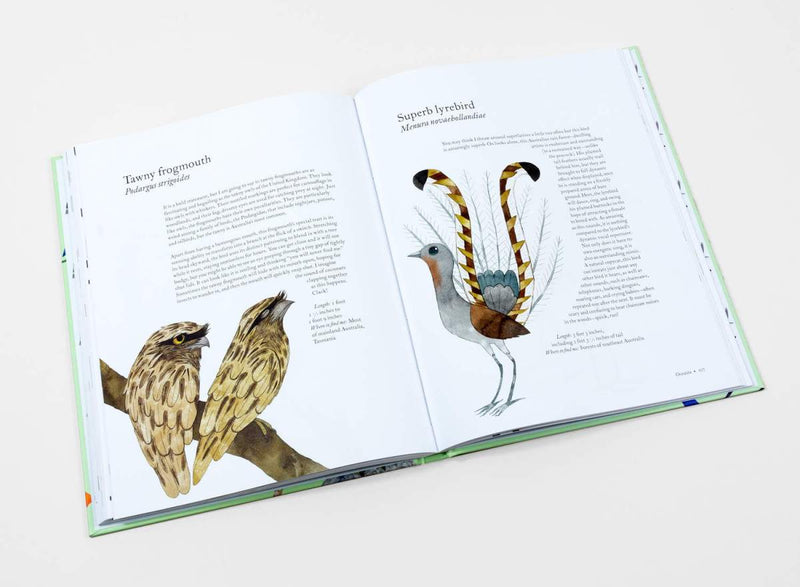 Matt Sewell: The Atlas of Amazing Birds - Tales for Tadpoles