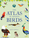 Matt Sewell: The Atlas of Amazing Birds - Tales for Tadpoles