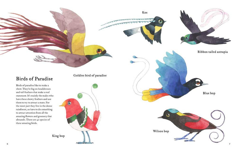 Matt Sewell: The Atlas of Amazing Birds - Tales for Tadpoles