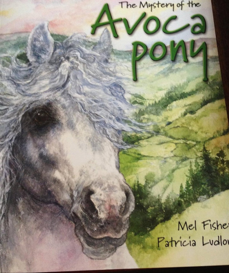 Mel Fisher: The Mystery of the Avoca Pony, illustrated by Patricia Ludlow (Second - Hand) - Tales for Tadpoles