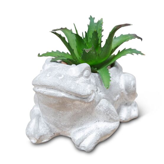 Mini Cement Effect Planter: Frog with Succulent - Tales for Tadpoles