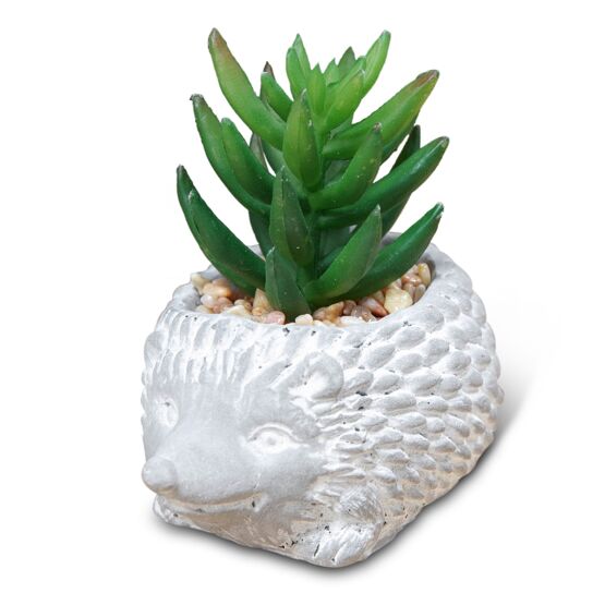 Mini Cement Effect Planter: Hedgehog with Succulent - Tales for Tadpoles