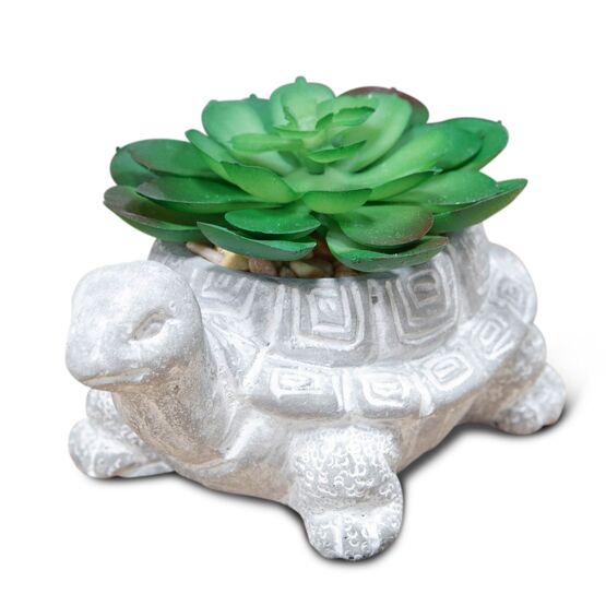 Mini Cement Effect Planter: Tortoise with Succulent - Tales for Tadpoles