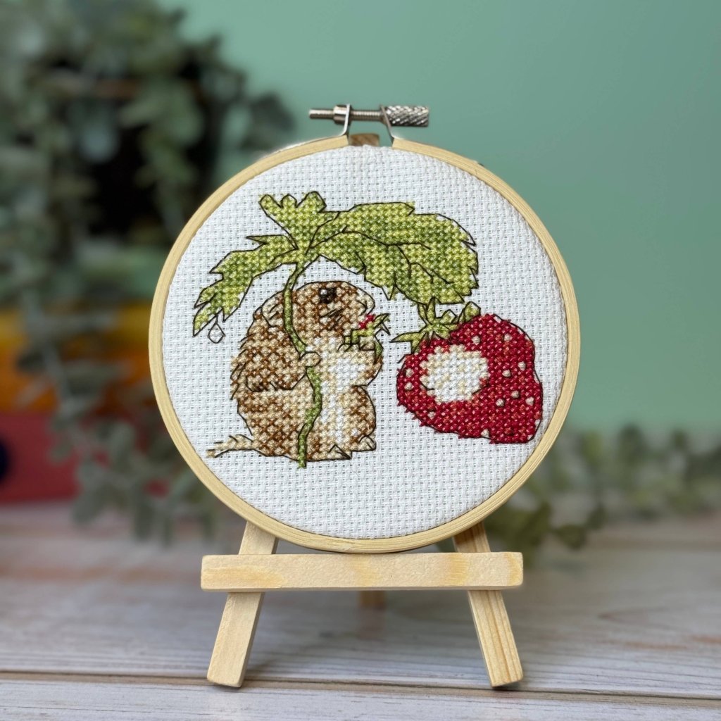 Mini Cross Stitch Kit: Timmy Willie - Tales for Tadpoles