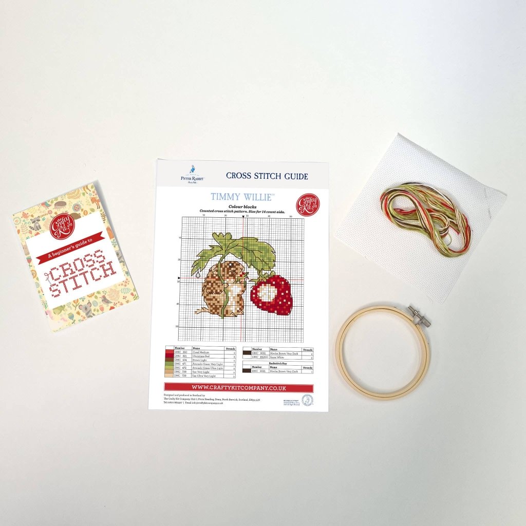 Mini Cross Stitch Kit: Timmy Willie - Tales for Tadpoles
