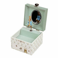 Musical Jewellery Box: Peter Rabbit - Dragonfly (Cube) - Tales for Tadpoles