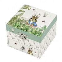 Musical Jewellery Box: Peter Rabbit - Dragonfly (Cube) - Tales for Tadpoles