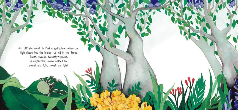 Natalie McKinnon: A Web for All Seasons, illustrated by Margaret Tolland 3 FOR 2! - Tales for Tadpoles