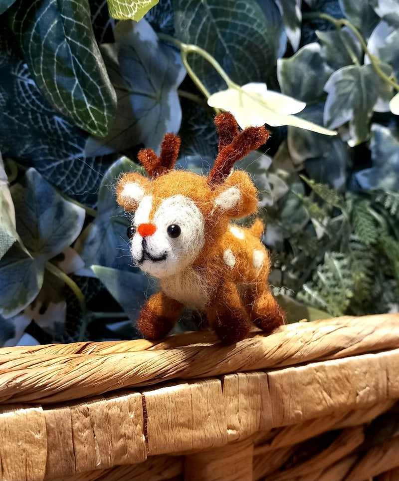 Needle Felting Workshop with Jenni Kilgallon: 23rd Nov 10.30am - Tales for Tadpoles