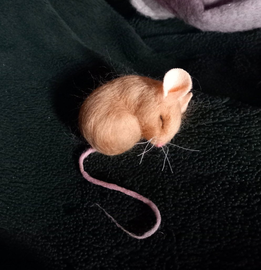 Needle Felting Workshop with Jenni Kilgallon: 29th March 10.30am - 3D Mouse in Nest - Tales for Tadpoles