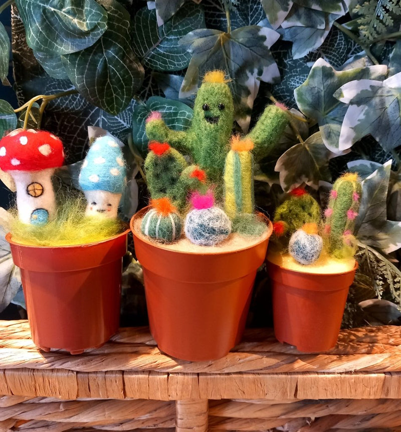 Needle Felting Workshop with Jenni Kilgallon: 9th June 5pm - Cactai or Toadstools in Pot - Tales for Tadpoles