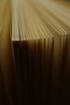 Notebook: Dracula by Bram Stoker, 1897 - Tales for Tadpoles