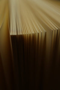 Notebook: Dracula by Bram Stoker, 1897 - Tales for Tadpoles